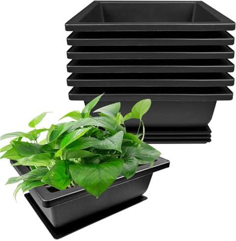 Ovtai Vaso Bonsai, 6 Pezzi, Rettangolare, Plastica, Grande, Nero, Adatto per Alberi Bonsai, Piante Grasse, Piante Cactus, Fiori, Indoor e Outdoor, 16x12x6cm