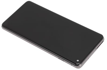 Schermata del Telefono Cellulare, Dispositivo di Digitalizzazione del Display LCD Professionale 6.1 Pollici per S10 G973W G9730 (Gray)