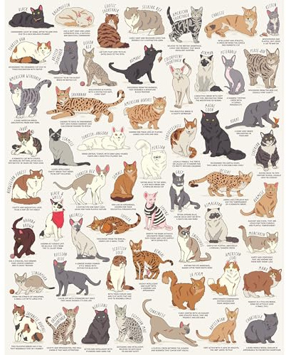 Ridley's Games JIG055 Cat Lover's 1000 Piece Jigsaw Puzzle, Multicoloured