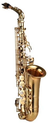 YIWENG Sax alto,Sassofono contralto Mib Ottone laccato Sax contralto Strumento a fiato con custodia per il trasporto Guanti Cinghie Panno e spazzola per pulizia Ance mute per sassofono Cuscinetto per
