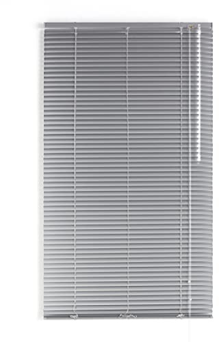 Blindecor 2101 - Veneciana de Aluminio con Lama, 100X250 cm, Plata