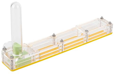 Ameisenfarm- aus Acryl mit Feuchtigkeitsturm – Transparentes Ameisennest für die Ameisenhaltung – Gelbe und Blaue Farboptionen – Ideales Ameisenparadies für Haustiere (#2)