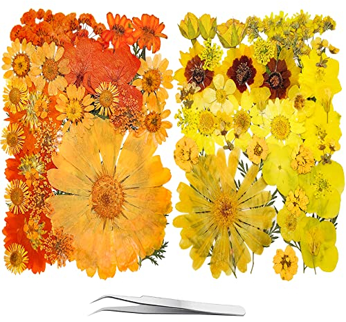 YouthBro 81PCS Orange Yellow Dried Pressed Flowers for Resin Real Nature Flowers Herb Set for DIY Jewelry Candle Soap Vase Making Nail Card Scrapbook Art Craft Floral Decors