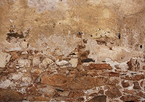 wandmotiv24 Fototapete Alte Mauer, aus Stein und Stuck, XL 350 x 245 cm - 7 Teile, Wanddeko, Wandbild, Wandtapete, Vintage, Grunge, Wand M1051