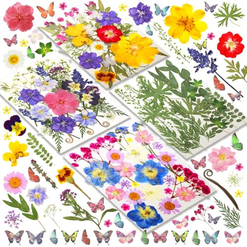 CAwished 120PCS Colorful Dried Pressed Flowers for Crafts with Butterfly Stickers, Real Nature Dried Pressed Flowers for DIY Jewelry Making Nail Art Phone Case Scrapbook Décor