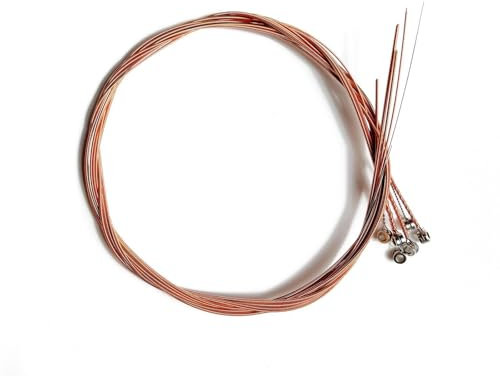 Msagkah Gitarrensaiten, 1 Satz mit 6 Stück Gitarrensaiten für Akustikgitarre, Ersatzsaiten aus Edelstahl für Akustikgitarre (Kupfer)