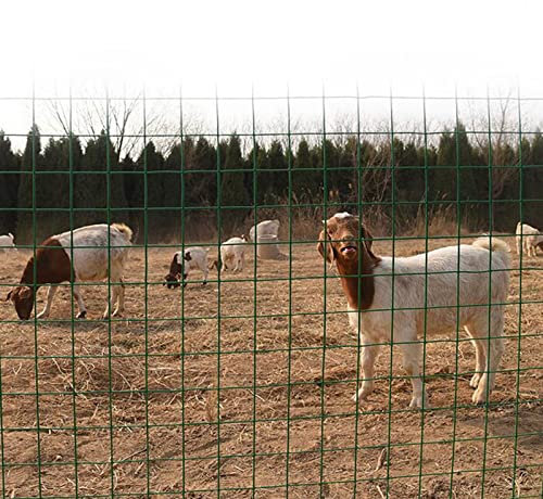 Red para cría de Aves de Corral, Cerca de Alambre, Cerca Circular de inmersión, Cerca de Alambre icken, Cerca de Aislamiento, no se oxida fácilmente para Malla de protección de jardín (Color