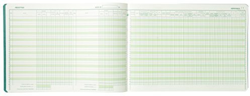 Exacompta - Réf. 9620E - 1 Piqûre Journal des Recettes Dépenses des Professions libérales - 80 pages foliotées - format 270 x 380 mm - 4 couleurs aléatoires, jaune, bleu, rouge, vert