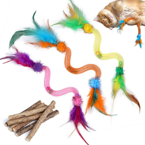 PetGens Katze Spielzeug, Katzenspielzeug mit Katzenminze Katzenspielzeug spirale mit Katzenminze Balls, Federn, Glöckchen für Katzen