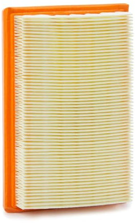 PURFLUX A1613 Filtre à air du moteur Cartouche filtrante