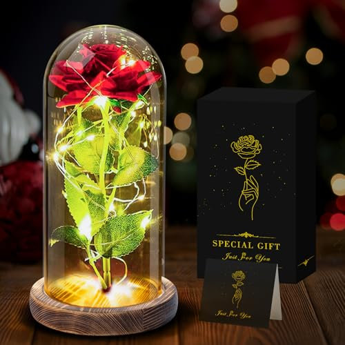 Seachrgif Cadeau Noel Femme,Rose Eternelle Rouge,Cadeaux Noel pour Maman,Sa Copine,Mamie,Soeur,Belle Soeur,Maitresse,Meilleure Amie Anniversaire, Saint-Valentin, Thanksgiving Idee Cadeau Noel