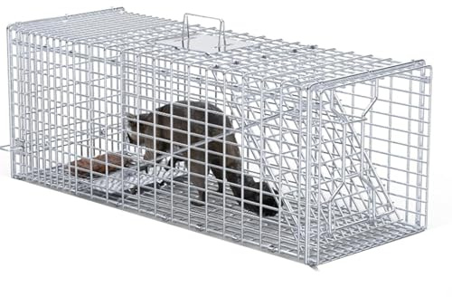 Cage Piège for Animaux Vivants, Cage Pliable for Chats, Pédale Flexible, Longue Durée De Vie, for Lapins, Marmottes, Chats Errants, Écureuils(66 * 24 * 26cm)