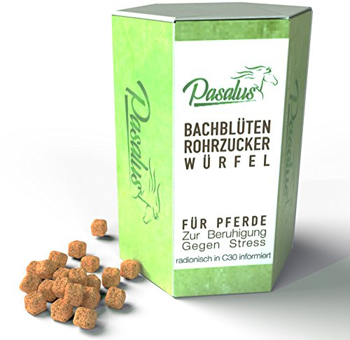 Pasalus Pferde Bachblüten Rohrzuckerwürfel bei Angst, Stress und Schreckhaftigkeit - Für Turnier und Training oder Reisen einsetzbar