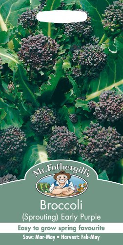 Mr Fothergill's Broccoli (Sprouting) Early Purple