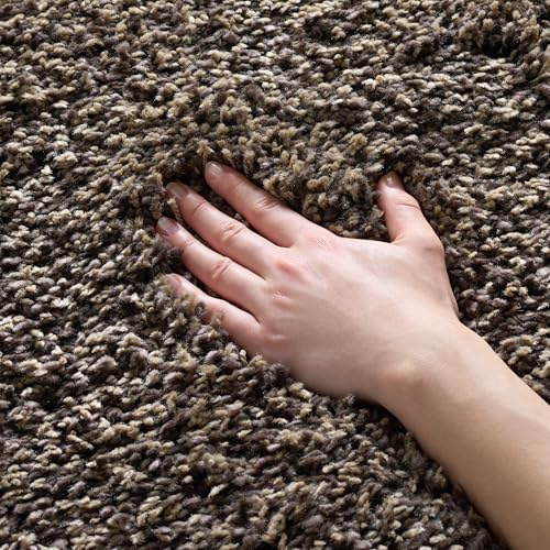 Safavieh Alfombra Shag Sala de Estar, Comedor, Dormitorio - California Shag Collection, Pelo Largo, Champiñón, 122 X 183 cm