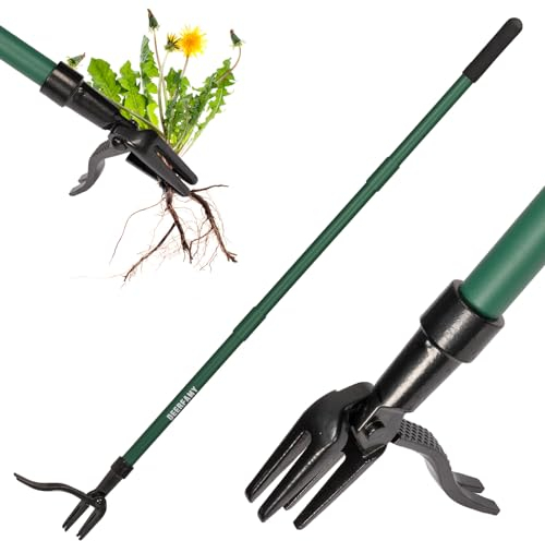 DEERFAMY Extractor de malas hierbas con mango largo, con 4 garras, cabeza de acero, deshierbe manual ajustable con estructura de 3 metal, removedor de raíces de diente de león, adecuado para jardín y