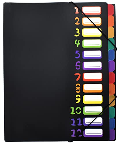 Erweiternde Dateiordner Projektmappe A4 Ordnungsmappe Pultordner 12 Fächer 24 Taschen Kunststoff Akkordeon Dokument Veranstalter bunte Dateiordner für Schule Bürobedarf (Schwarz)