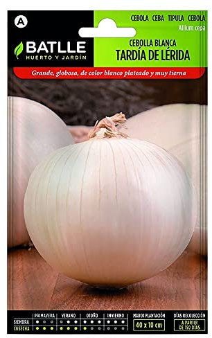 Semillas Batlle Cebolla Grande tardía de LERIDA