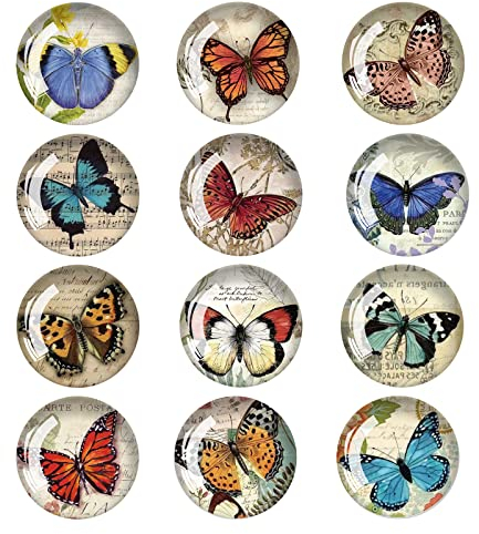 FuninCrea 12 Pack Butterfly Fridge Magnets 3D Glass Notice Board Office Magnets Set Vintage Butterfly Small Fridge Magnets Decorative Refrigerator Magnets for Home Office Whiteboard (02#)