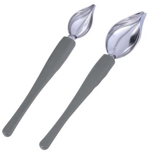 Adorainbow Cucchiaio da Decorazione in Acciaio Inox 2 Pezzi per Salsa e Dessert Impugnatura Ergonomica, Accessori da Cucina Leggeri e Portatili per Uso Domestico e Ristorazione