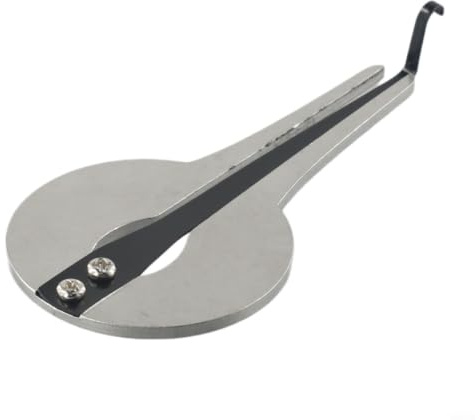 's Harp rostfritt stål munharpa för nybörjare – traditionellt plockinstrument med ljudplatta – perfekt för folkmusik – krom 10,6 x 5,3 cm (B)