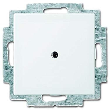 BJ Alpinweiß Busch-Balance SI (2538-914 Blindabd.)