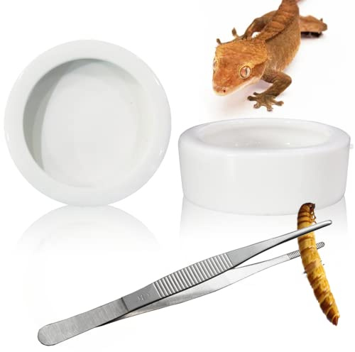 2Pcs Mini Reptile Food Dish Bowls Worm Water Dish Feeder Lizard Gecko Ceramic Pet Bowls with Tongs for Tortoise Lizard Bearded Dragon Frog Leopard Gecko Snake Chameleon(Small, 1.93Inch)