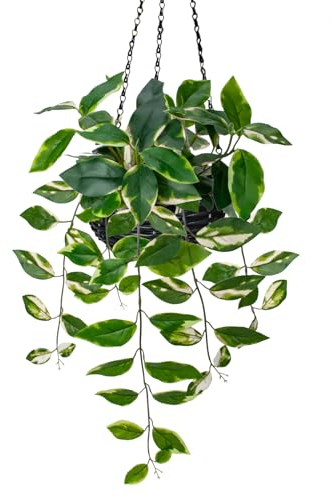 Oairse Artificial Hanging Plants Fake Hanging Plants with Pots Faux Golden Pothos N‘ Joy Potted Plants Hanging Wall Plants with Basket Pot for Wall Shelves Bedroom Bathroom Indoor Outdoor