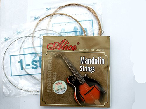 AM05 MANDOLIN STRING SET-8 LOOP END STRINGS ALLOY WOUND D G STEEL A E