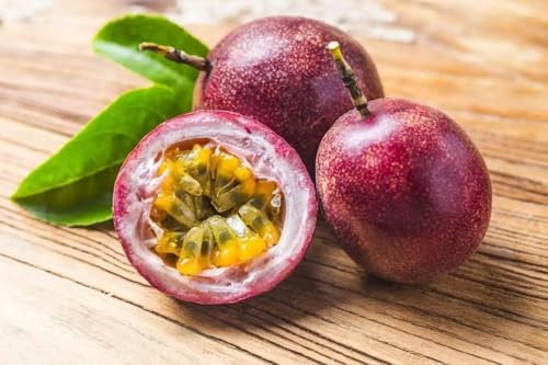 10 Graines de Fruit de la Passion Pourpre – Passiflora edulis - Fruit Tropicale - Jardin - 347