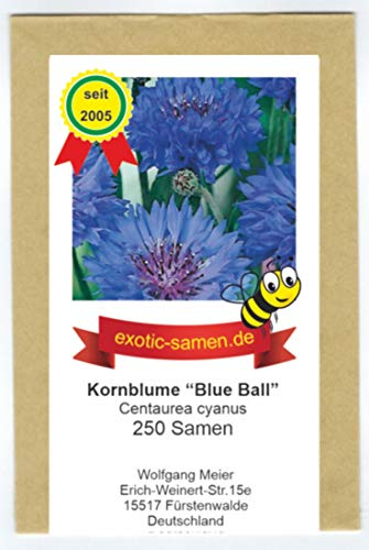 Centaurea cyanus - Bienenweide - Blaue Kornblume Blue Ball - 250 Samen