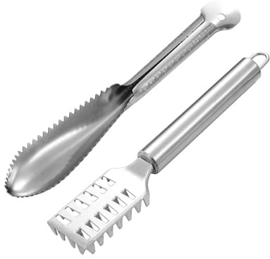 CHICAMPERA 2 Pezzi Squamatore Acciaio Inossidabile Strumento per Rimozione Squame Pulitore Cucina per Uso