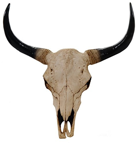Mendler Deko Schädel 64cm, Polyresin Stier Bulle Longhorn Kopf Trophäe, In-/Outdoor - Natur