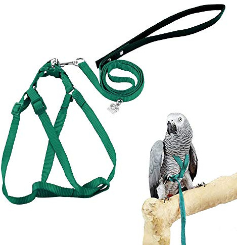ASOCEA Harnais Et Laisse Pour Oiseaux Perroquet Attache RéGlable En Plumes Volant En Nylon Corde De Marche ExtéRieure Anti-Morsure Transporteur D'EntraîNement Pour Petit Perroquet Perruche InséParable