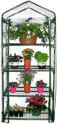 Greenfields 4 Tier Greenhouse with Clear PVC Cover, Heavy Duty PE Cover, No Tools Required, Perfect for Growing Potted Plants, Herbs, Flowers, Indoor or Outdoor