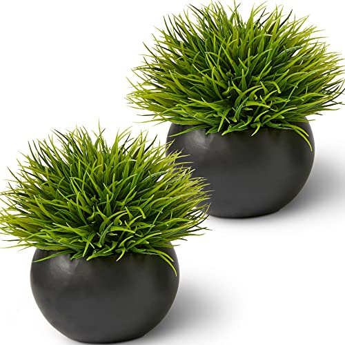 Fake Succulents Plants Artificial in Premium Ceramic Pots (2 Pack Round) Realistic Faux Succulents for Bathroom, Home & Office Décor