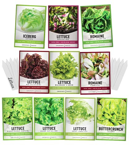 Gardeners Basics, Salad Greens Lettuce Seeds Heirloom Vegetable Seed 23,000 Seeds for Planting Indoors and Outdoor 10 Packs - Buttercrunch, Romaine, Iceberg, (and More) Leaf and Head Variety Pack