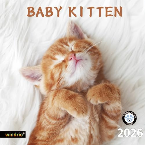2026-2027 Wall Calendar,Calendar 2026, November 2026 - December 2027, Wall Calendar Cute Kittens, 12 x 24 Opened, Thick Paper, Large Writing Blocks, Hanging Monthly Calendar for Home, Office & School Planning