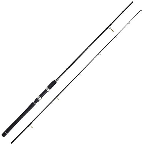 WFT Sea Dart Heilbutt Jigger 2,20m 80-220g