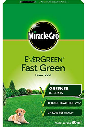 Miracle-Gro EverGreen Fast Green Lawn Food, 80 sq m Coverage (Child and Pet Friendly)