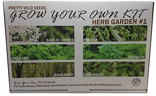 Herb Garden #1 Grow Your Own Kit with Garlic Chives Rosemary Coriander Oregano Rocket & Parsley Seeds Perfect Herbs for Kids & Beginners Schools Gardening Clubs