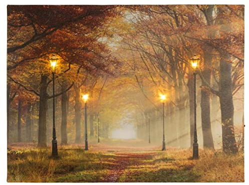 Nexos Trading LED Wandbild Leinwandbild mit Beleuchtung Fotodruck Allee im Herbst 30 x 40 cm 4 LED warm weiß Timer Kunstdruck Leuchtbild Wiese Vintage-Stil Waldweg