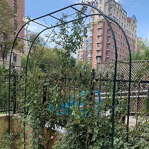 Resistente Arco Da Giardino Arco In Metallo Per Rose Rampicanti, Archi Giardino Arco Per Piante,Traliccio Pergola 120x220cm,140x230cm,180x220cm Sostegno Rose Rampicanti Da Balcone,Antiruggine ( Colore