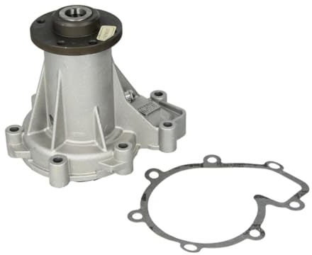 Hepu P176 Wasserpumpe