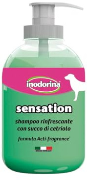 Shampooing inodorina Sensation rafraîchissante 300 ML