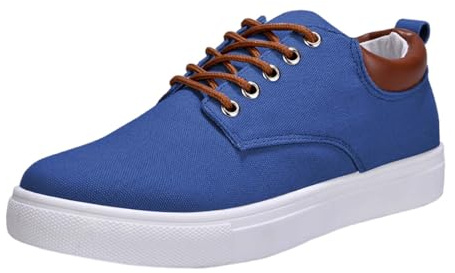 LinRim Zapatillas informales de lona para hombre, estilo clásico, zapatos casuales, cómodos, para patinar, zapatos de skate bajos, transpirables, ligeros, antideslizantes, zapatillas deportivas, azul