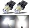 ZSZT 7443 7440 T20 W21/5W Lampadina led, Super Bright con Proiettore, Xenon Bianco, per luci di posizione, luce dei freni, fanali posteriori, luci diurne, 2 Pz