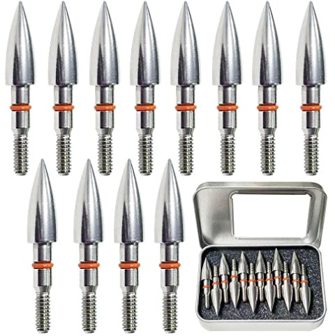 Field Points arrowheads 100 Grains Archery Field Points, 5/16 Stainless Steel Screw in Archery Field Tips and Broadheads (1 Dozen 12 PCS)