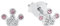 Prinzessin Lillifee Ohrstecker 925 Sterling Silber Mädchen Kinder Ohrschmuck, mit Glas, 0,5 cm, Silber, Krone, Kommt in Schmuck Geschenk Box, 2036940