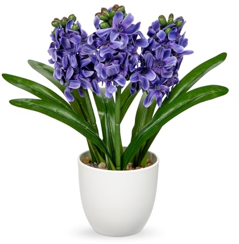 Hollyone Fiori finti di giacinto artificiale viola blu in vaso, composizioni floreali finte in seta, 22 cm, fiori decorativi in vaso per casa, cucina, bagno, camera da letto, centrotavola, decorazioni